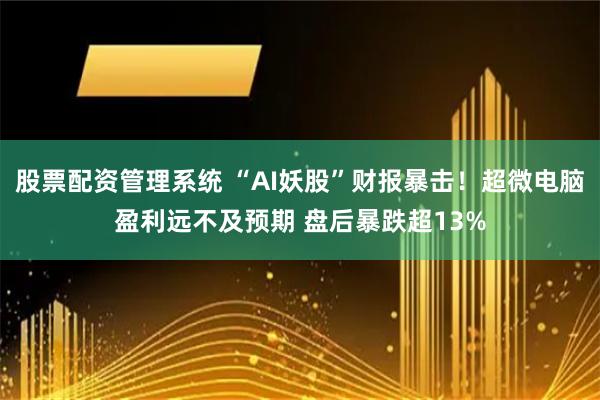 股票配资管理系统 “AI妖股”财报暴击！超微电脑盈利远不及预期 盘后暴跌超13%