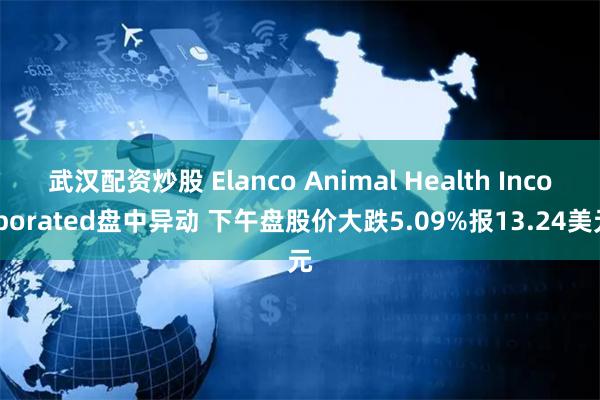 武汉配资炒股 Elanco Animal Health Incorporated盘中异动 下午盘股价大跌5.09%报13.24美元