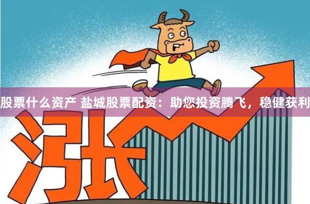 股票什么资产 盐城股票配资：助您投资腾飞，稳健获利